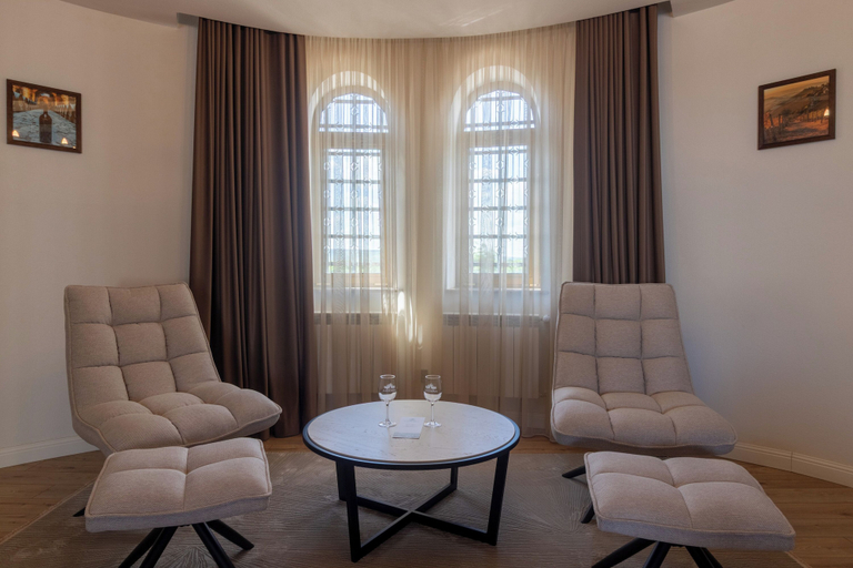 Room 5, Hotel Chateau Cojusna, Chisinau