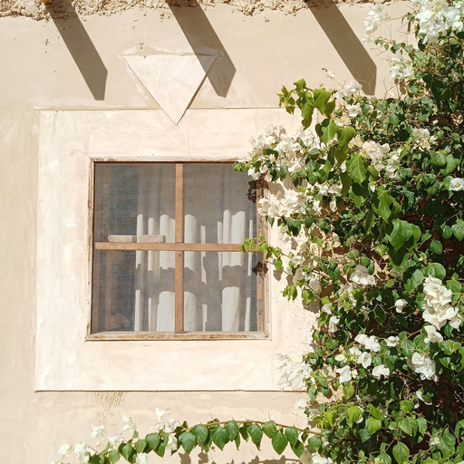 Exterior detail 2, tanirt ecolodge, Siwa