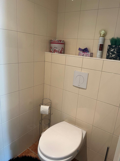 Bathroom 3, De Veldeling, Hoogeveen