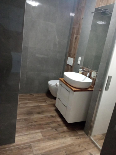 Bathroom, Willa Julia-pokoje w centrum, ogrod, sauna, grill, Cieszyn
