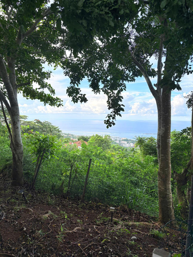 Others 5, Bungalow Pamatai Sky
