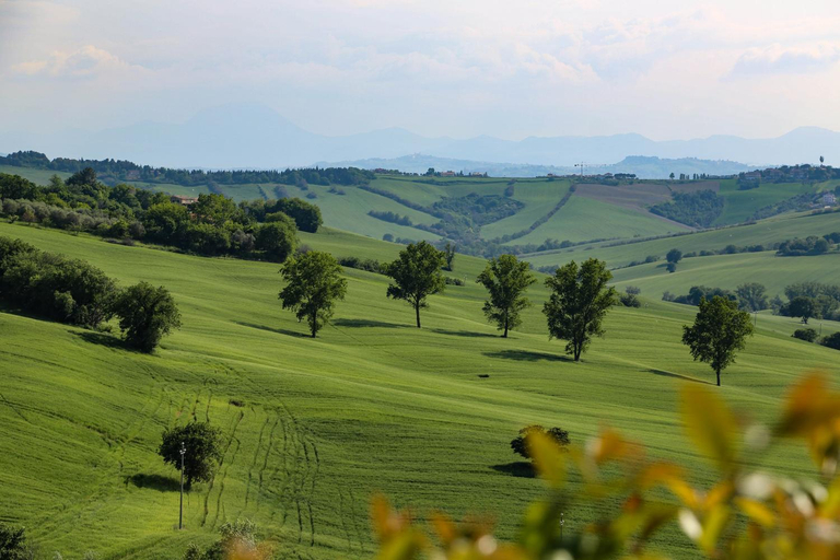 Others 3, Cerasus B&B, Ancona