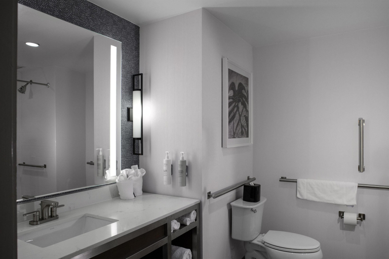 Bathroom 4, Hilton Garden Inn Jackson, Madison