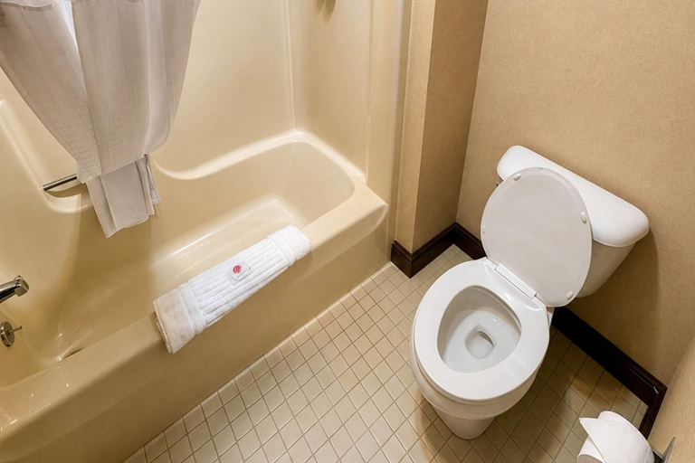 Bathroom 4, Comfort Inn Lakeside, Cheboygan