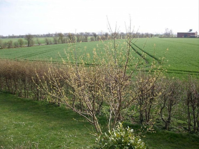 View from property 5, Ferienwohnung mit Balkon in Petersdorf, Ostholstein
