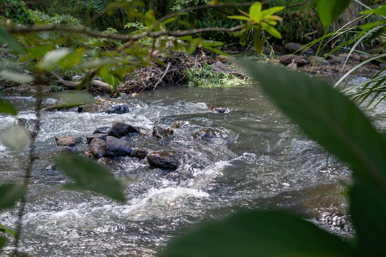 Others 3, River Forest Camp, Embilipitiya