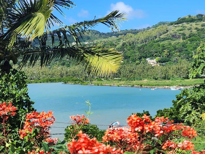 Others