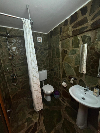Bathroom 4, Pensiunea Salas, Salasu De Sus