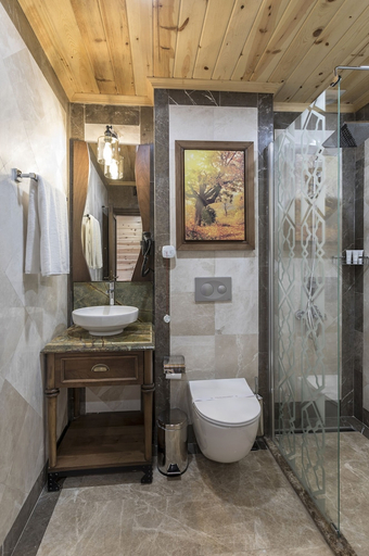 Bathroom 5, Hancioglu Camburnu Orman Evleri & Hotel, Of