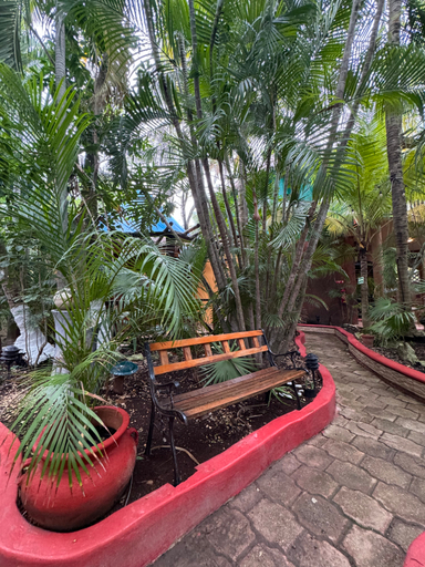 Public Area 3, Cocos Cabañas, Cozumel