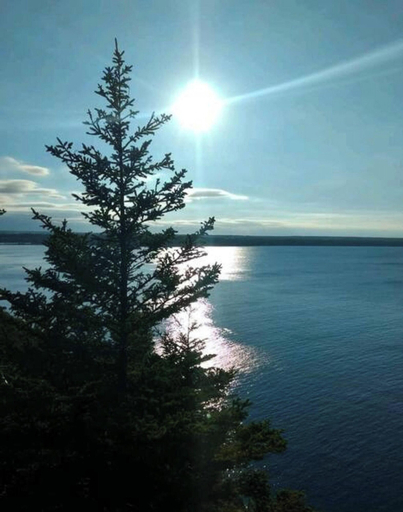 Room 4, Family Friendly Cottage Walking Distance to Lions Head Beach, Bruce