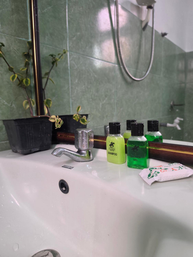 Bathroom 3, Polo Region Rest Inn by Travelers Edge, Haputale