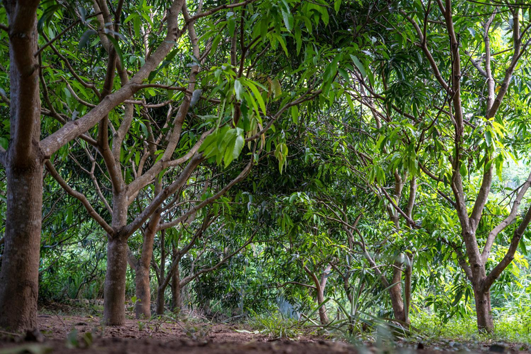 Others 5, River Forest Camp, Embilipitiya