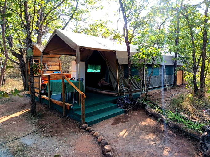 Others 1, Little 5 camp, Mopani
