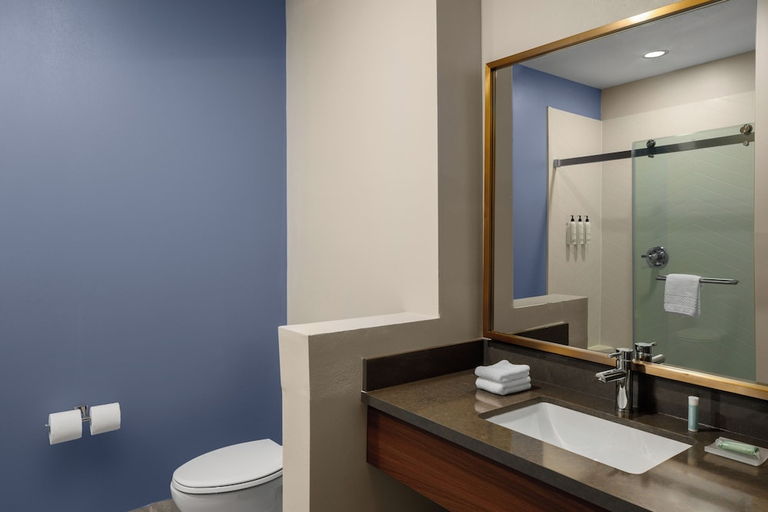 Bathroom 3, Lexington Inn And Suites, SC, Lexington