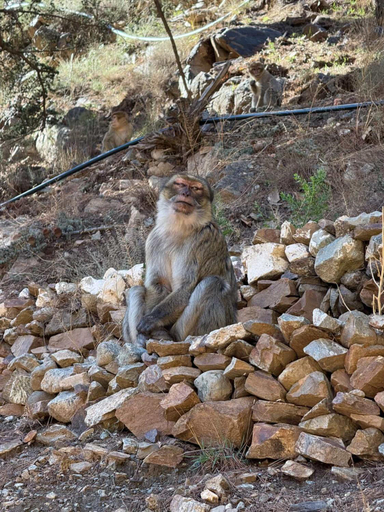 Others 5, Guest House Tigminou, Al Haouz