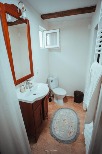 Bathroom 3, La Romaneasa, Sapanta