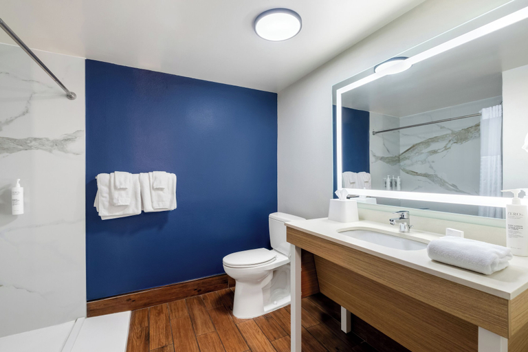 Bathroom 4, Spark by Hilton Staunton, Augusta