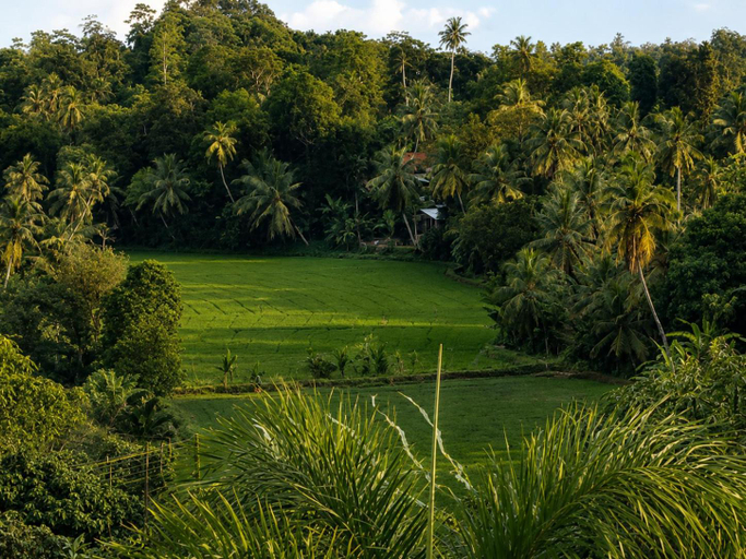 Others 2, Sunrise Eco Resort, Weligama