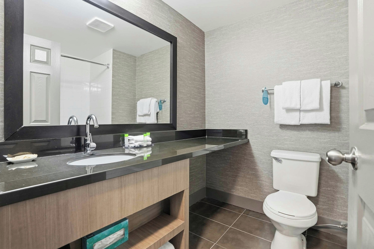 Bathroom 4, Sandman Hotel Saskatoon, Division No. 11