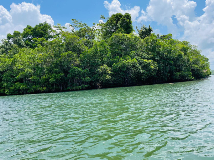 Others 5, Serene Garden Lodge, Habaraduwa
