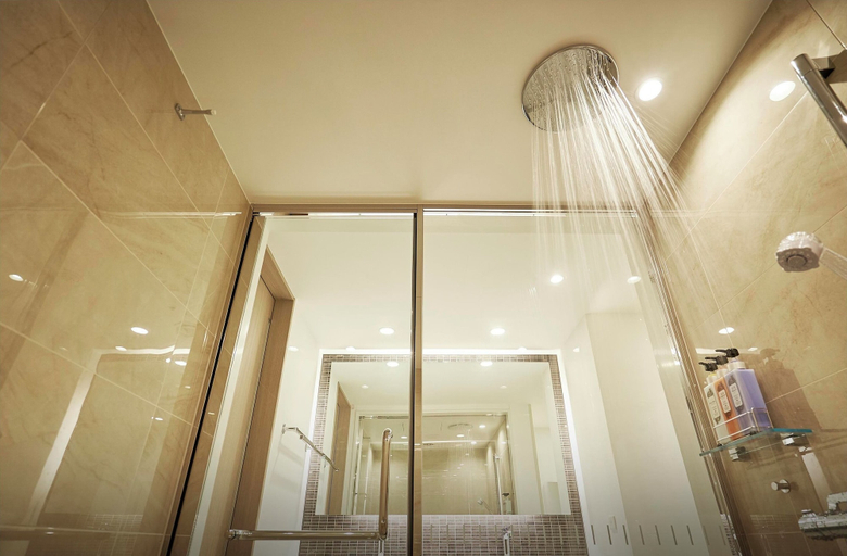 Bathroom 4, DaiwaRoynetHotel Kobe-Sannomiya PREMIER, Kobe