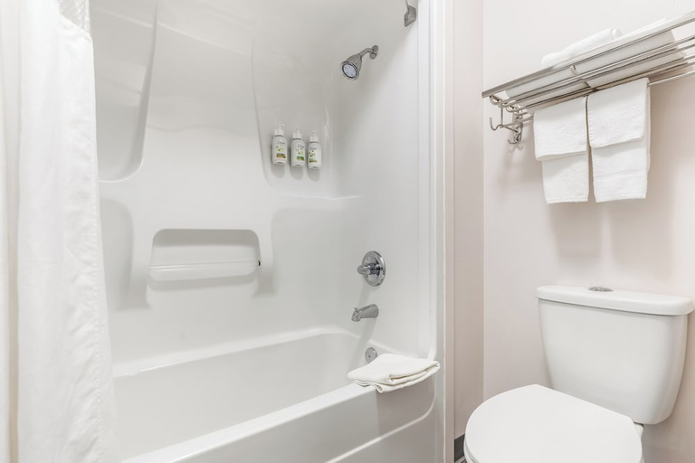 Bathroom 4, Days Inn by Wyndham Valemount, Fraser-Fort George