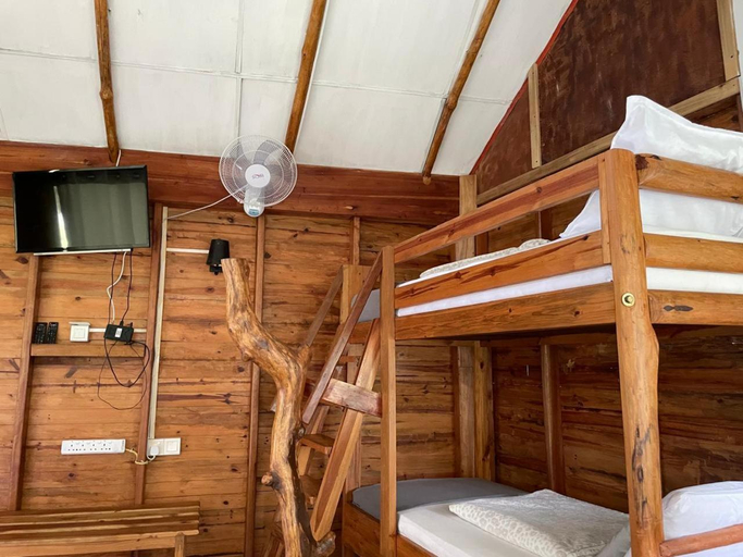 Others 3, LAMIACEAE WOOD CABIN, Ella