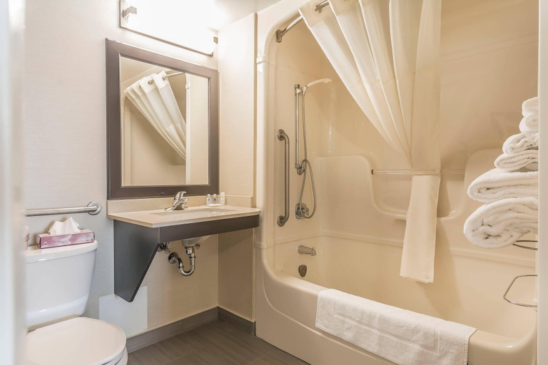 Bathroom 4, Comfort Inn Trenton, Hastings