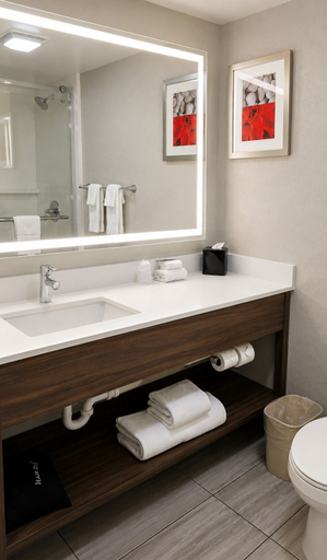 Bathroom 4, Alexandria Hotel & Conference Center, Douglas