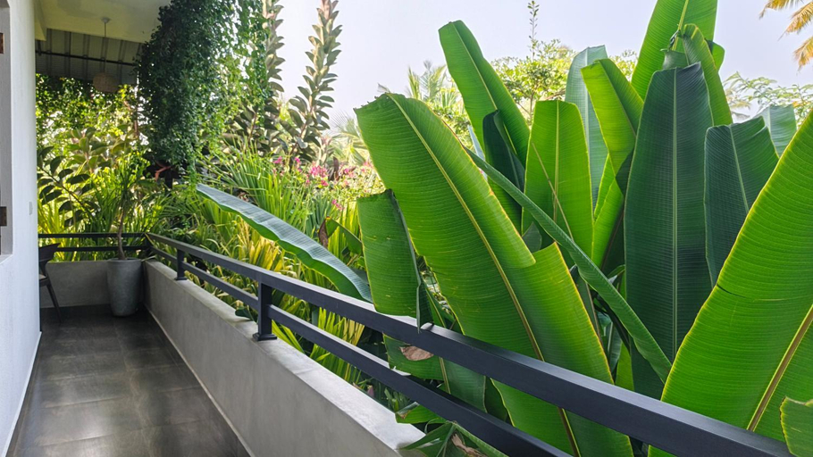Others 3, Tropical Plant Villa - Tangalle, Tangalle