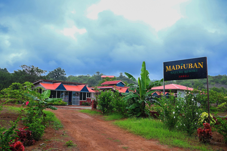Property grounds 3, Madhuban Nature Resort - Amboli, Sindhudurg