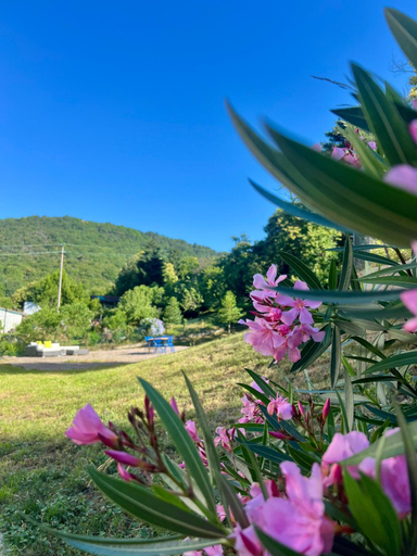 Others 5, Il lupo e il filosofo b&b, Savona