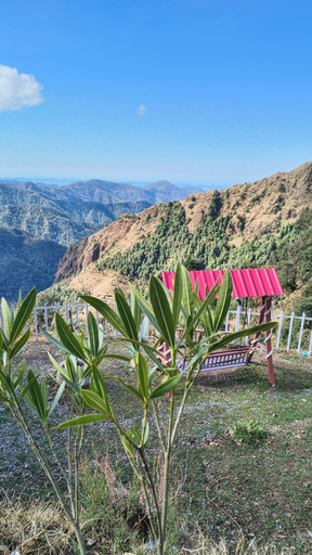 Property grounds 4, Into The Wild Stays, Tehri Garhwal