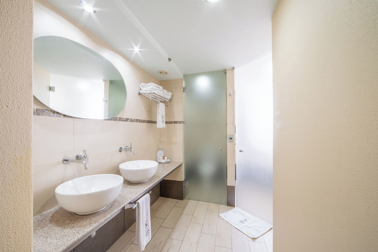 Bathroom 3, Hotel Abastos Plaza, Mexico City