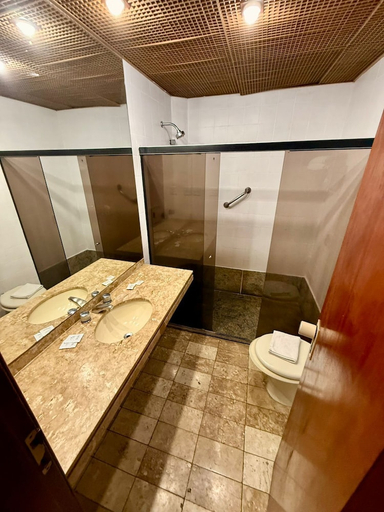Bathroom 4, Cesar Park Hotel, Juiz de Fora