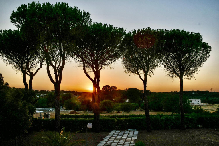 Others 4, Villa Cinque Pini, Bari