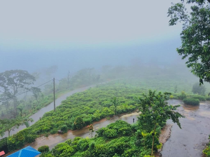 Miscellaneous 5, Nelinsa Wellness Resort & Spa, Matale