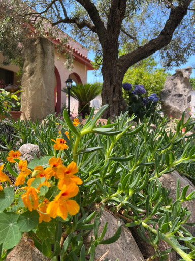 Exterior & Views 5, Resonance Experience - Peaceful Stay near Cagliari, Beaches & Nature, Cagliari