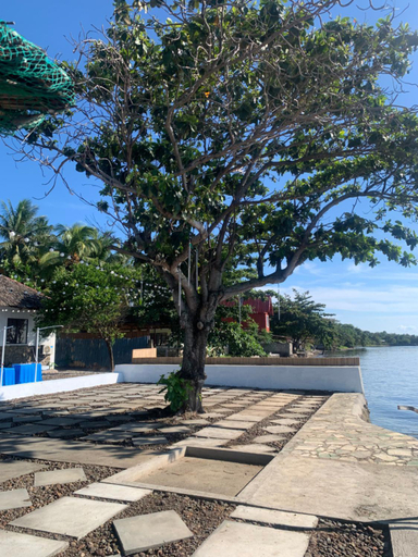 4, Dumaguete Dive Center, Bacong
