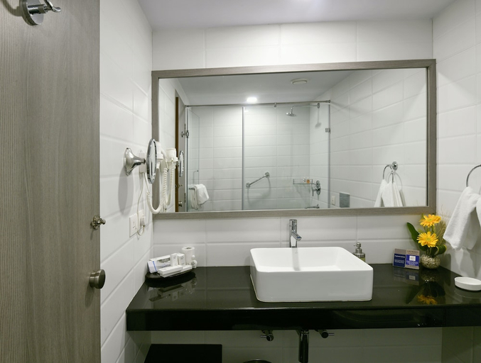 Bathroom 3, Peerless Inn Kolkata, Kolkata