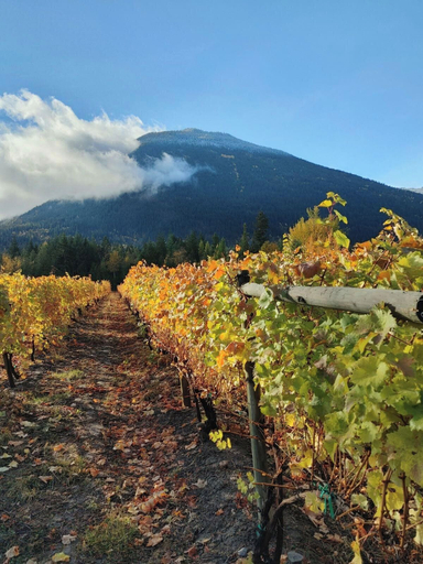 Miscellaneous 4, mountain view glamping, Columbia-Shuswap