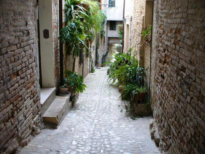 Others 4, MD Rooms, Fermo