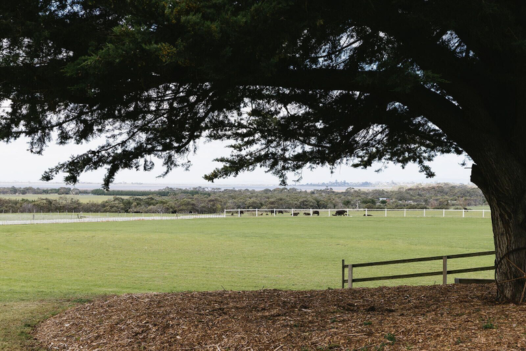Property grounds, Suma Park Estate, Greater Geelong - Pt B