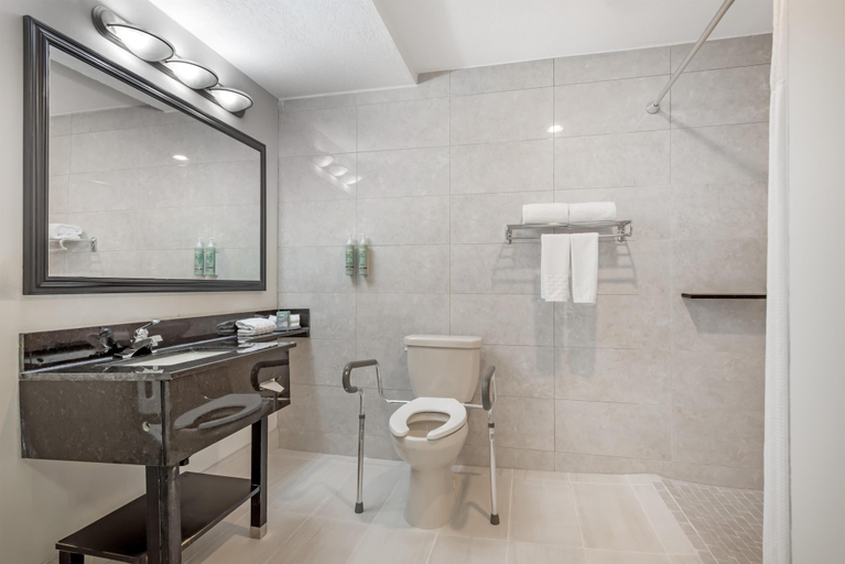 Bathroom 4, Best Western Airport Inn, Division No. 6