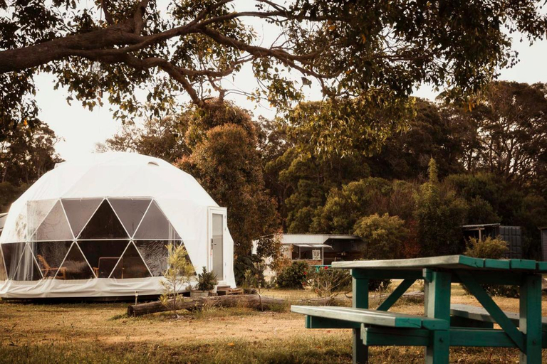 Others 4, Boogaloo Camp, Augusta-Margaret River