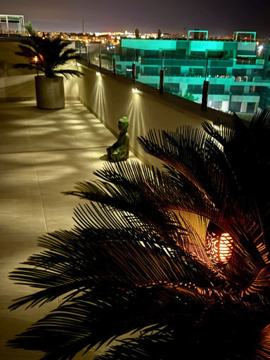 Others 4, Apartment Playa Flamenca Deluxe, Alicante