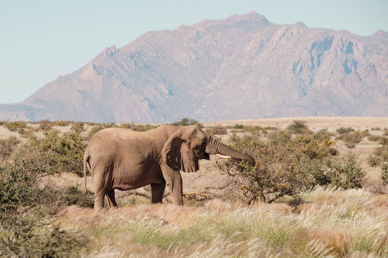 Miscellaneous 5, Elephant Rest Tented Camp, Khorixas