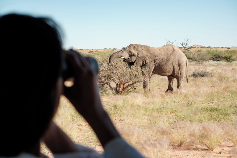 Miscellaneous 2, Elephant Rest Tented Camp, Khorixas