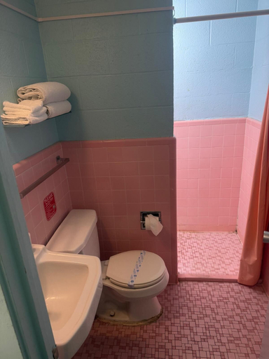 Bathroom 3, Holiday Host Motel, Sutton